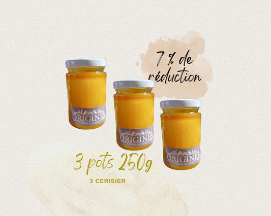 Image illustrant notre promotion sur 3 pots de miel de cerisier de 250 g, bénéficiant d'une réduction de 7 %.