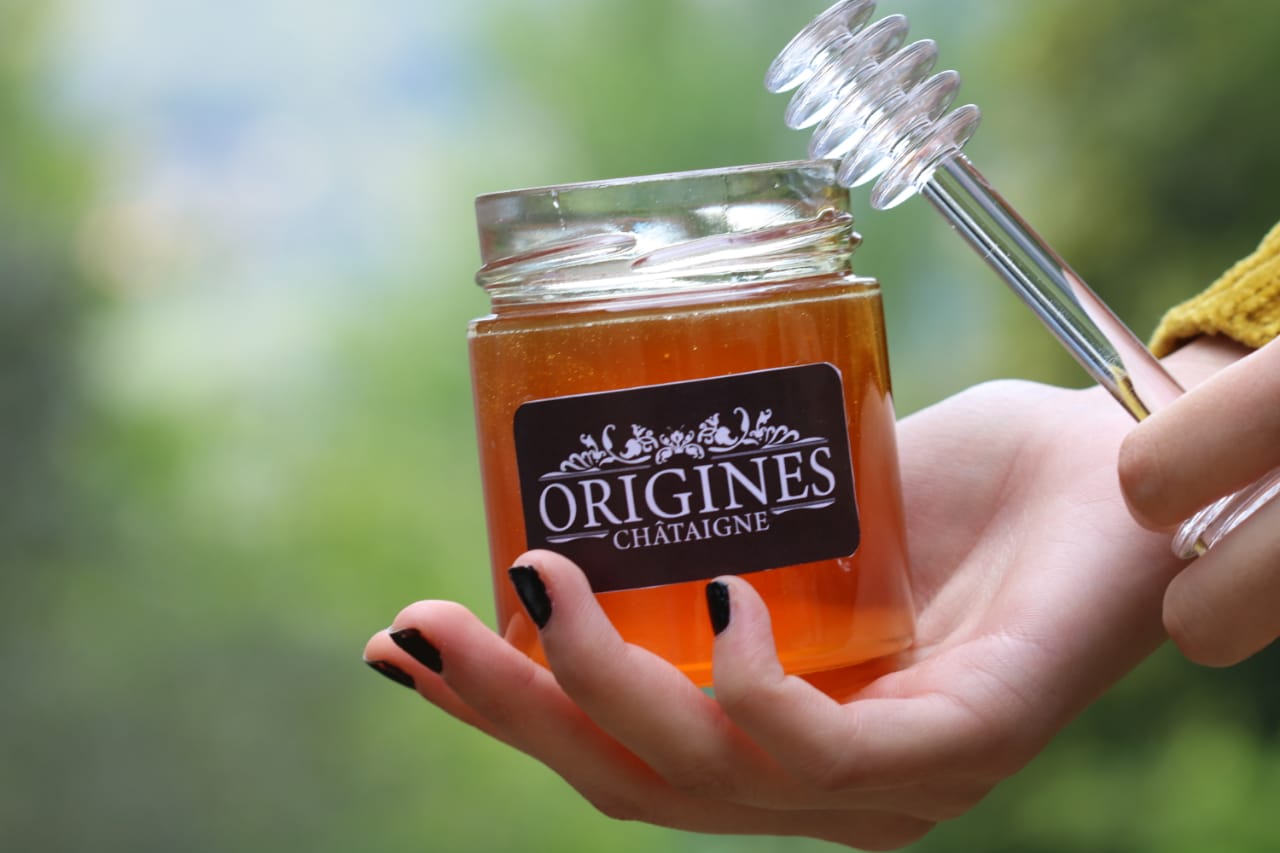Une main tenant notre pot de miel de châtaigne avec notre logo Miel Origines.